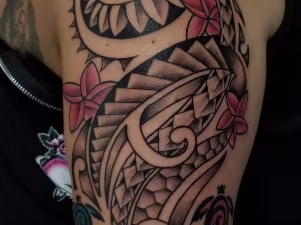 Pleasure In Pain Tattoo, tattoo shop in Taunton, MA