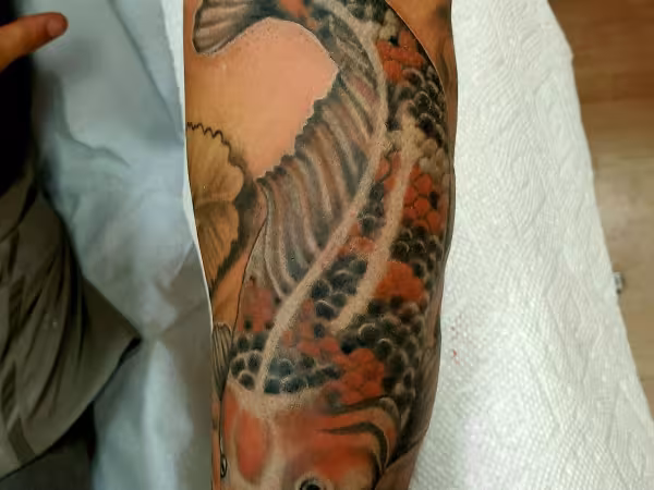 Exotic Body Works, tattoo shop in Hammonton, NJ