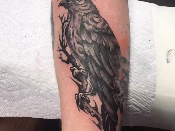 Mr. Williams Tattoo Co., tattoo shop in Tavares, FL
