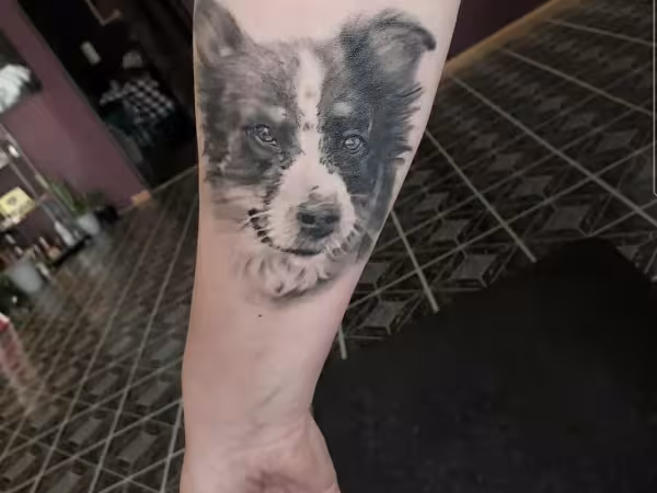 The Ink Tailor LLC, tattoo shop in Columbia Heights, MN