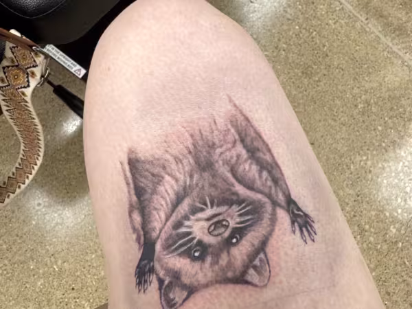 42 Tattoo, tattoo shop in Mansfield, OH