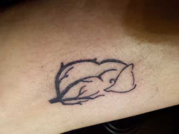 Vivid Tattoo, tattoo shop in Knoxville, TN