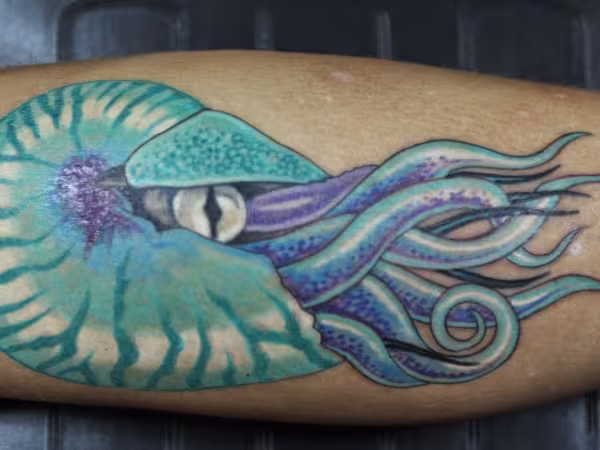 Big Island Tattoo & Piercing, tattoo shop in Kailua-Kona, HI