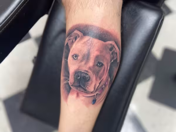 Vivid Ink, tattoo shop in Holt, MI