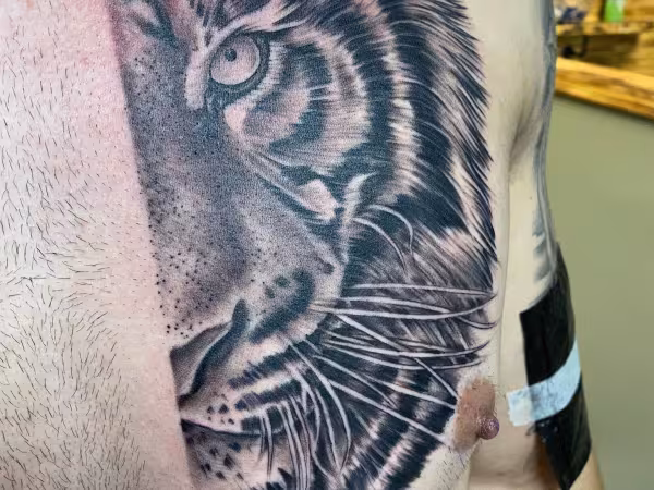 Painted Pony Tattoo & Piercing, tattoo shop in Anderson, SC