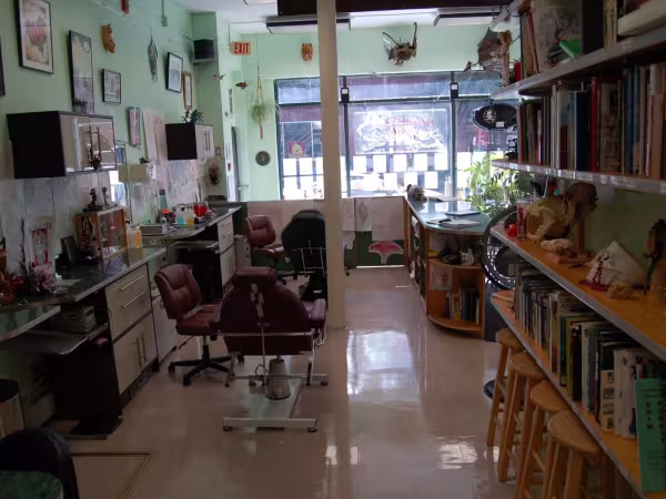 Medusa Tattoo Studio, tattoo shop in Ithaca, NY